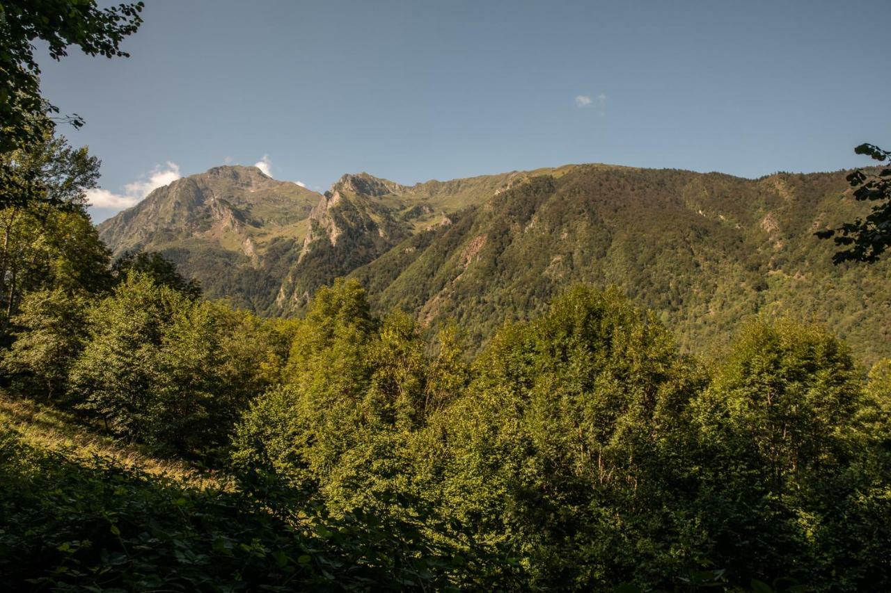 Gites Bergeries De Las Costes Insolites En Foret A Loudenvielle 4X4 Et Chaines Recommandes Par Temps De Neige, A 2Km Des Remontees Mecaniques Εξωτερικό φωτογραφία